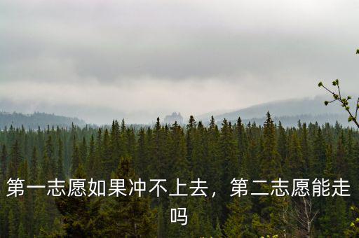 南陽(yáng)第一志愿考不上怎么辦,中考第一志愿沒有錄取