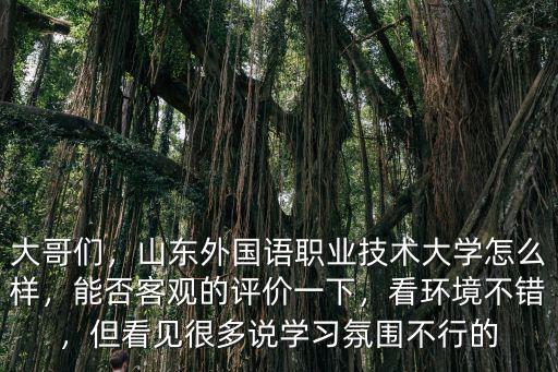 大哥們，山東外國語職業(yè)技術(shù)大學(xué)怎么樣，能否客觀的評價(jià)一下，看環(huán)境不錯，但看見很多說學(xué)習(xí)氛圍不行的