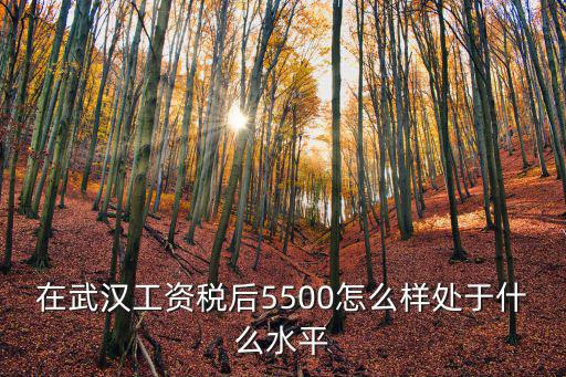 在武漢工資稅后5500怎么樣處于什么水平