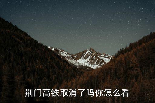 荊門高鐵取消了嗎你怎么看