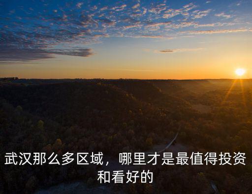 武漢那么多區(qū)域，哪里才是最值得投資和看好的