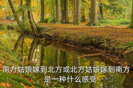 南方姑娘嫁到北方或北方姑娘嫁到南方，是一種什么感受