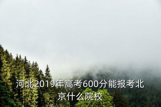 河北2019年高考600分能報(bào)考北京什么院校