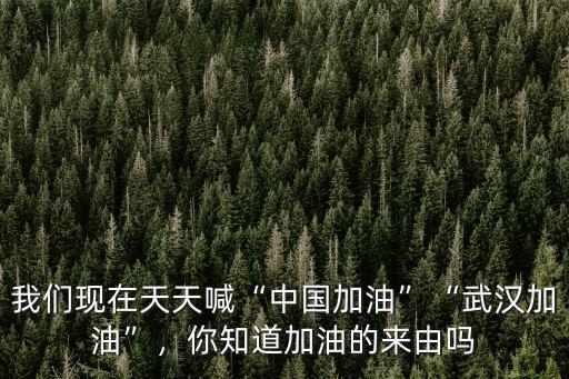 我們現(xiàn)在天天喊“中國(guó)加油”“武漢加油”，你知道加油的來由嗎