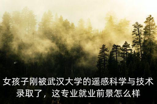 女孩子剛被武漢大學的遙感科學與技術錄取了，這專業就業前景怎么樣
