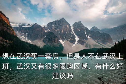 想在武漢買一套房，但是人不在武漢上班，武漢又有很多限購區域，有什么好建議嗎