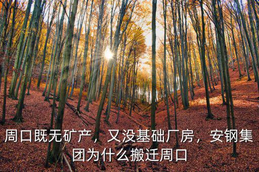 周口智晟集團怎么樣,實地集團周口項目怎么樣