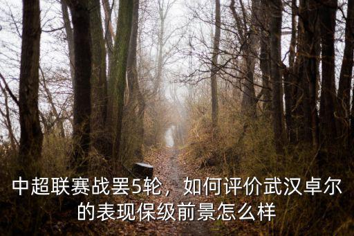中超聯(lián)賽戰(zhàn)罷5輪，如何評價武漢卓爾的表現(xiàn)保級前景怎么樣