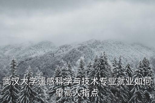 武漢大學遙感科學與技術專業就業如何望高人指點