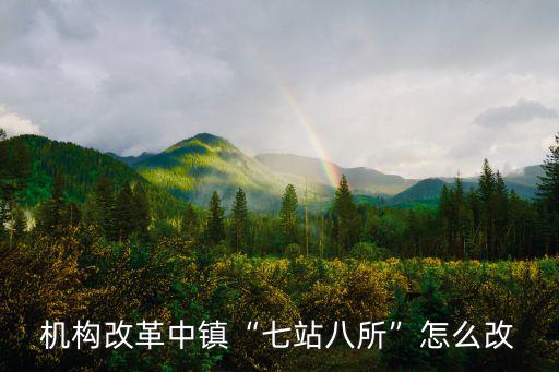 湖北省機構改革鄉鎮紀委怎么改,機構改革中鎮七站八所怎么改