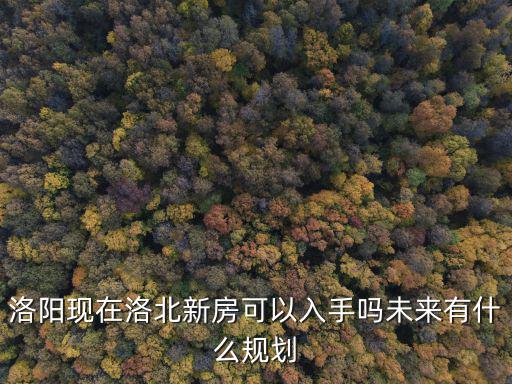 洛陽洛北鋼廠新廠在哪里,洛陽現(xiàn)在洛北新房可以入手嗎