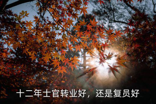 十二年士官轉業好，還是復員好