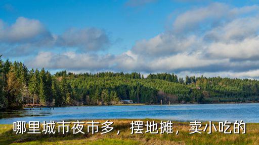 哪里城市夜市多，擺地?cái)偅u小吃的