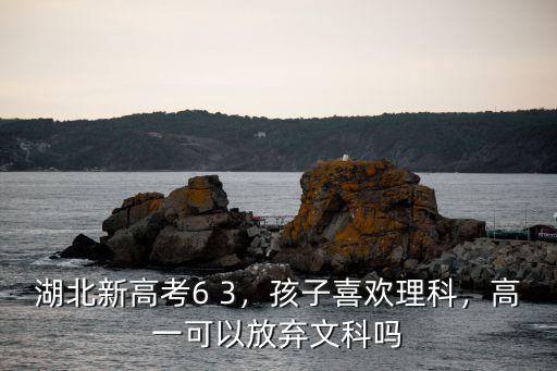 湖北新高考6 3，孩子喜歡理科，高一可以放棄文科嗎