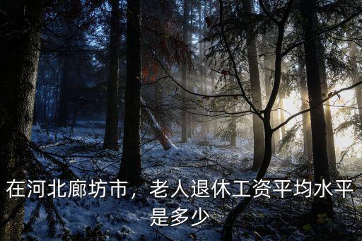 在河北廊坊市，老人退休工資平均水平是多少
