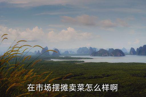 在市場擺攤賣菜怎么樣啊