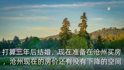 滄州交河的房子多少錢,滄州樓房多少錢了