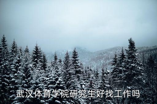 武漢體育學(xué)院研究生好找工作嗎