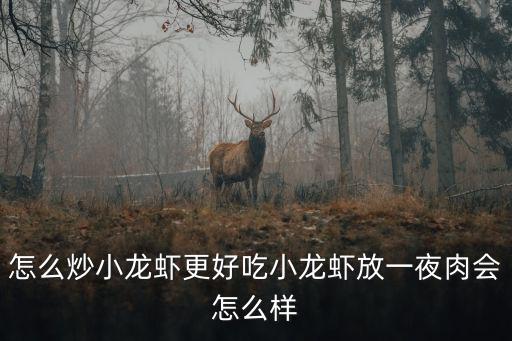 怎么炒小龍蝦更好吃小龍蝦放一夜肉會(huì)怎么樣