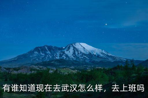 有誰知道現在去武漢怎么樣，去上班嗎