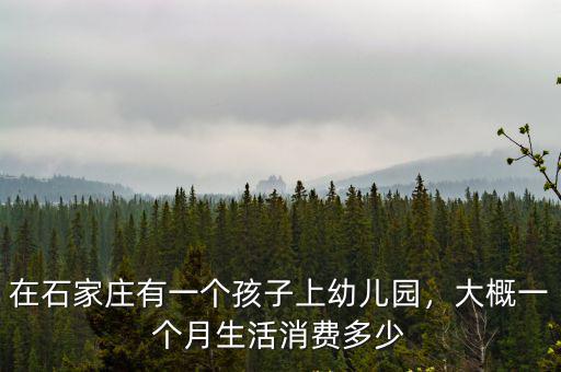 在石家莊有一個孩子上幼兒園，大概一個月生活消費多少