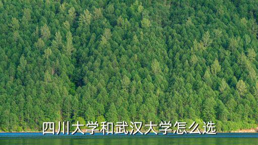 四川大學(xué)和武漢大學(xué)怎么選