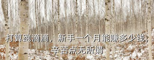 邢臺市跑滴滴一個月能收入多少,一個月能掙多少錢