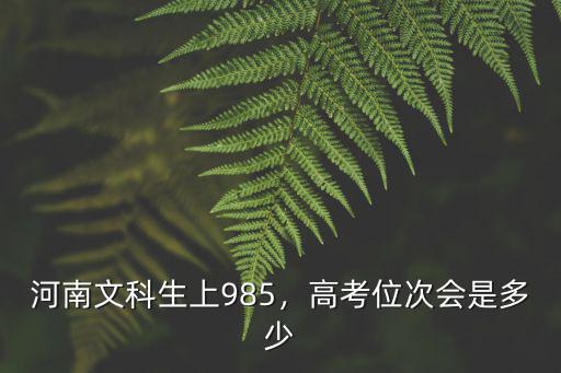 河南文科生多少分能上985嗎,河南文科生上985