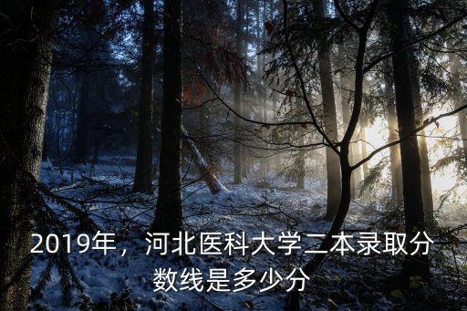 2019年，河北醫科大學二本錄取分數線是多少分