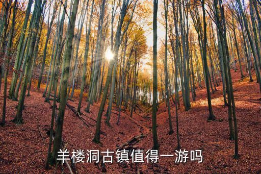 羊樓洞古鎮值得一游嗎