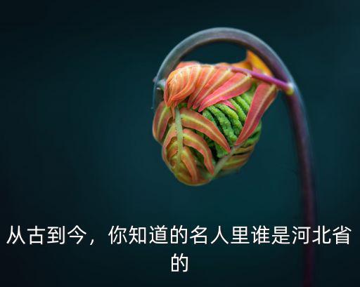 河北省叫張萌的有多少,河北省有多少個市
