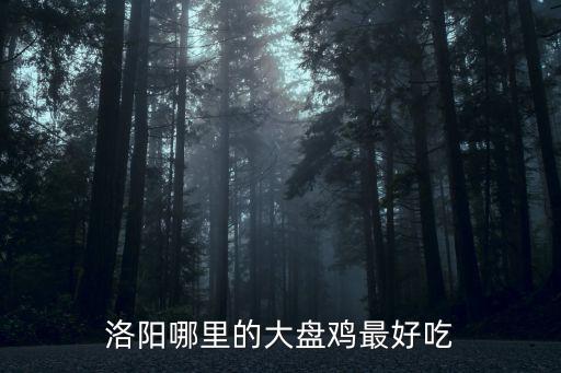 洛陽哪里的大盤雞最好吃