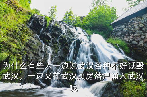 為什么有些人一邊說武漢各種不好詆毀武漢，一邊又在武漢買房落戶涌入武漢呢