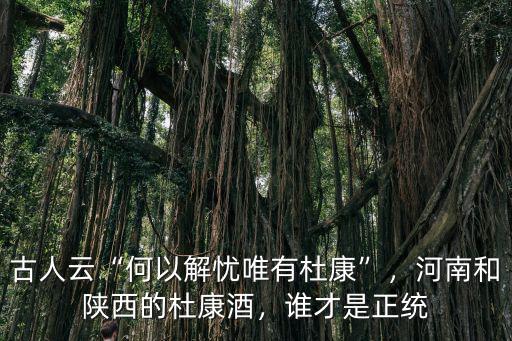古人云“何以解憂唯有杜康”，河南和陜西的杜康酒，誰才是正統(tǒng)
