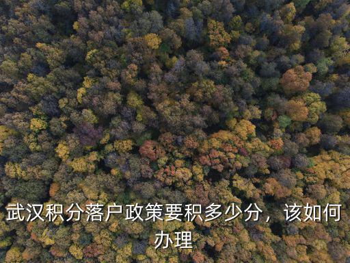 武漢辦落戶積分怎么查,武漢積分落戶政策要積多少分