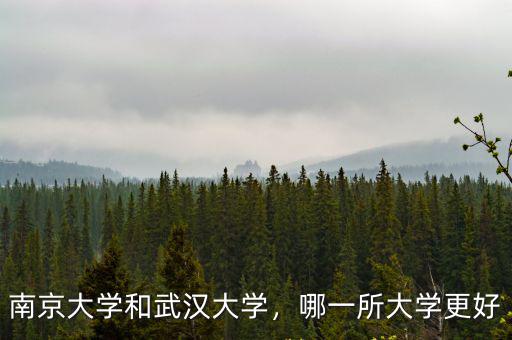 南京大學和武漢大學，哪一所大學更好