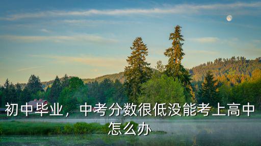 初中畢業(yè)，中考分?jǐn)?shù)很低沒能考上高中怎么辦