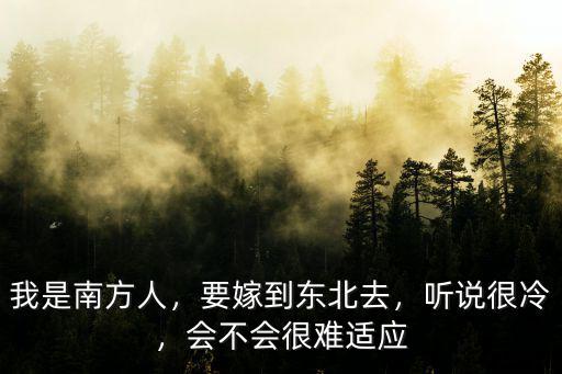 我是南方人，要嫁到東北去，聽說很冷，會不會很難適應