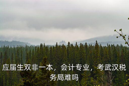 武漢稅務局新人待遇怎么樣,現在稅務局的待遇怎么樣