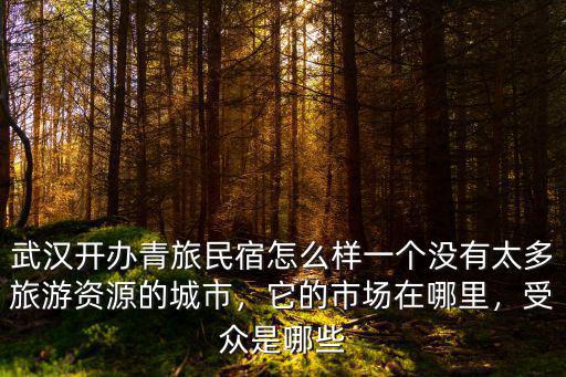 武漢開辦青旅民宿怎么樣一個沒有太多旅游資源的城市，它的市場在哪里，受眾是哪些