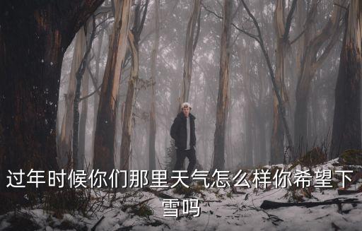 過(guò)年時(shí)候你們那里天氣怎么樣你希望下雪嗎