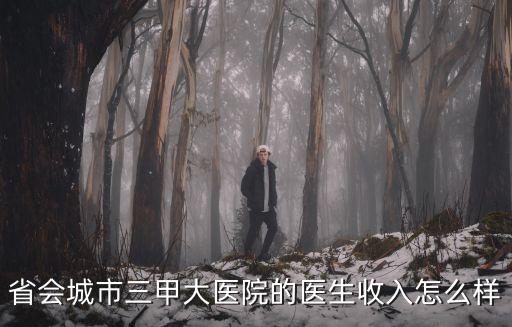 省會城市三甲大醫院的醫生收入怎么樣
