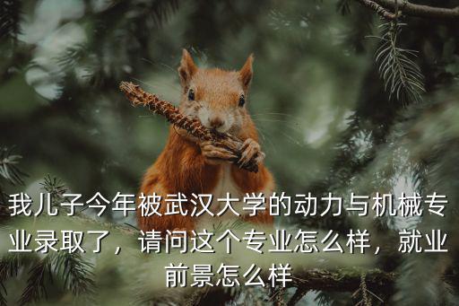我兒子今年被武漢大學的動力與機械專業錄取了，請問這個專業怎么樣，就業前景怎么樣