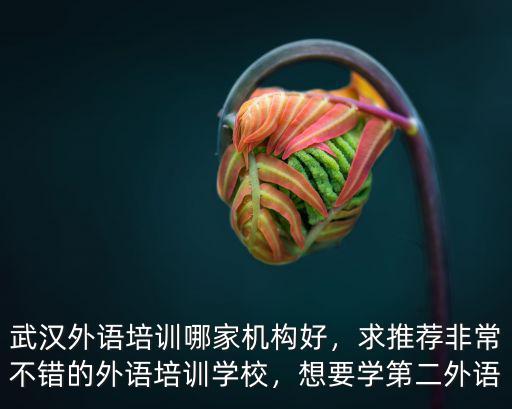 武漢外語培訓哪家機構好，求推薦非常不錯的外語培訓學校，想要學第二外語