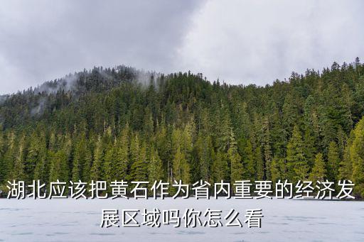 湖北應該把黃石作為省內(nèi)重要的經(jīng)濟發(fā)展區(qū)域嗎你怎么看