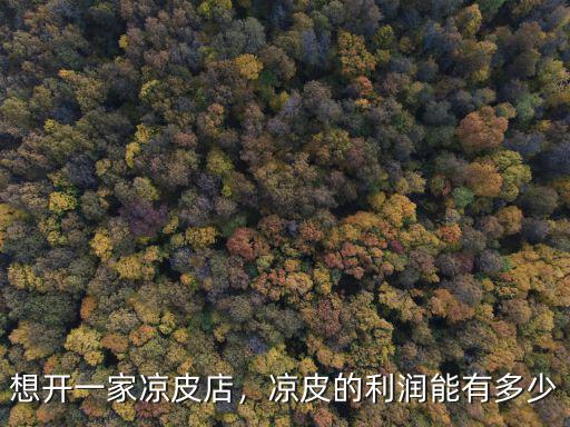洛陽有多少家涼皮店,涼皮的利潤能有多少