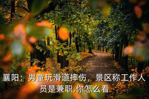 襄陽：男童玩滑道摔傷，景區稱工作人員是兼職,你怎么看