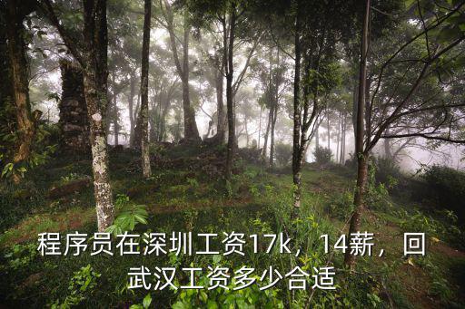 程序員在深圳工資17k，14薪，回武漢工資多少合適