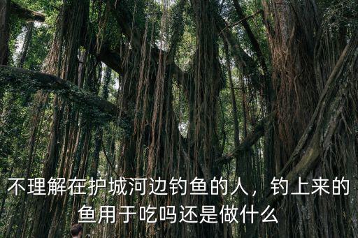 荊州護城河里的魚怎么釣,西安護城河里有多少魚