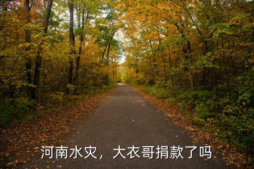 河南水災，大衣哥捐款了嗎